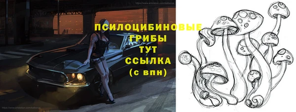 прущая мука Верея