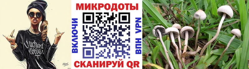 Псилоцибиновые грибы GOLDEN TEACHER  цена   Буйнакск 